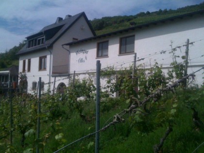 Фото: Weingut Ottes